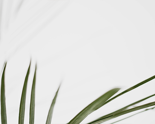 SIYOU 1.5.5.7 New Version Released!